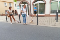 Alltagstraining 09-2022 Mosbach