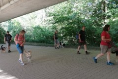 Alltagstraining