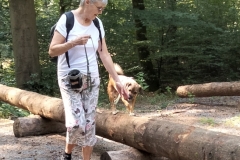 Hundewanderung in Schwarzach 09-2024