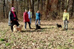 img_20250302_111112468_hdr