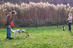 img20231112114143-scaled